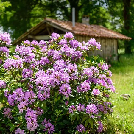Maison Bernachot Bed and Breakfast Laluque
