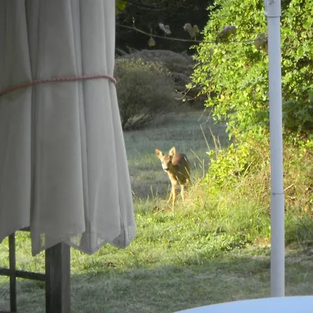 Maison Bernachot Bed and Breakfast